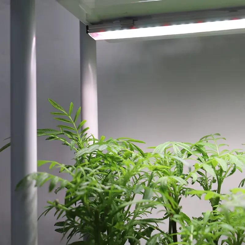 Indoor Herb Garden - Hareketli Dikey 3 Katlı Kendi Kendine