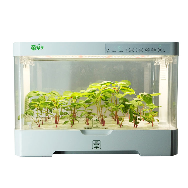 Hydroponic Kit - Küçük, İç Mekan İçin Uygun, Akıllı,