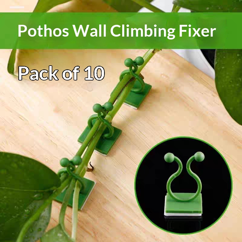 Indoor Herb Garden - Kendinden Yapışkanlı Bitki Tırmanma Duvarı Bağlantı
