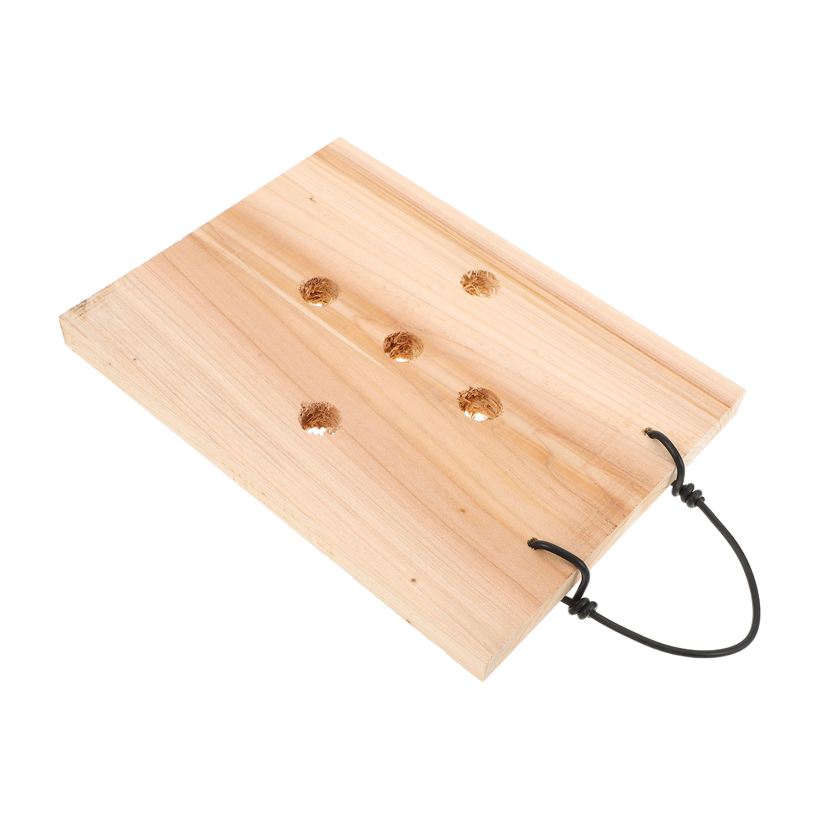 Yosun, Orkide ve Hava Bitkiler - Vertical Planter incelemesi ve fiyatı