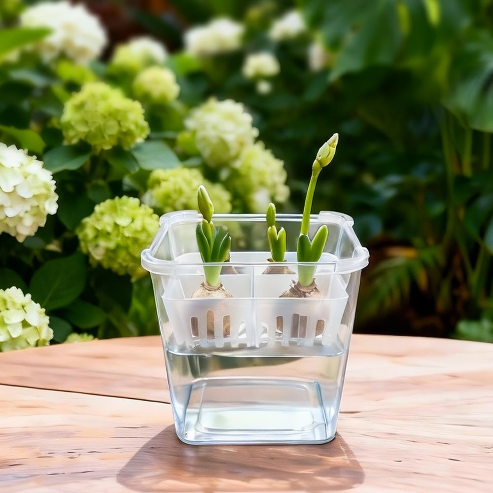Lale ve Zambak Bulunduğunda Ku - Plant Pot incelemesi ve fiyatı