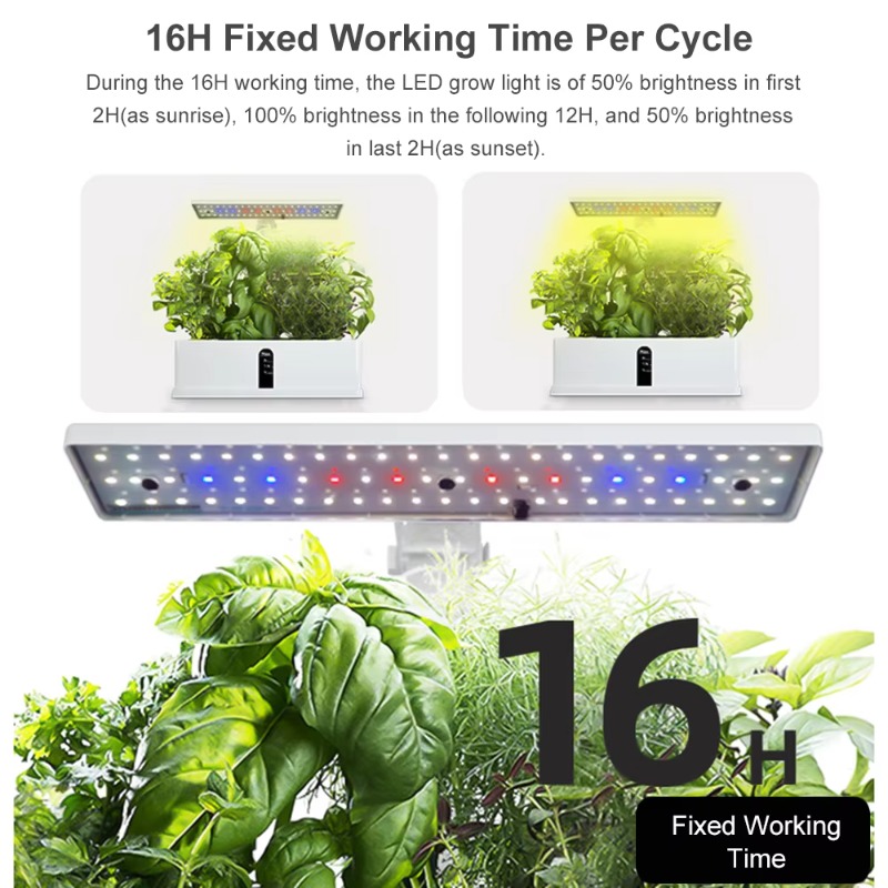 9 Bölmeli Akıllı Hidroponik Ye - Hydroponic Kit incelemesi ve fiyatı